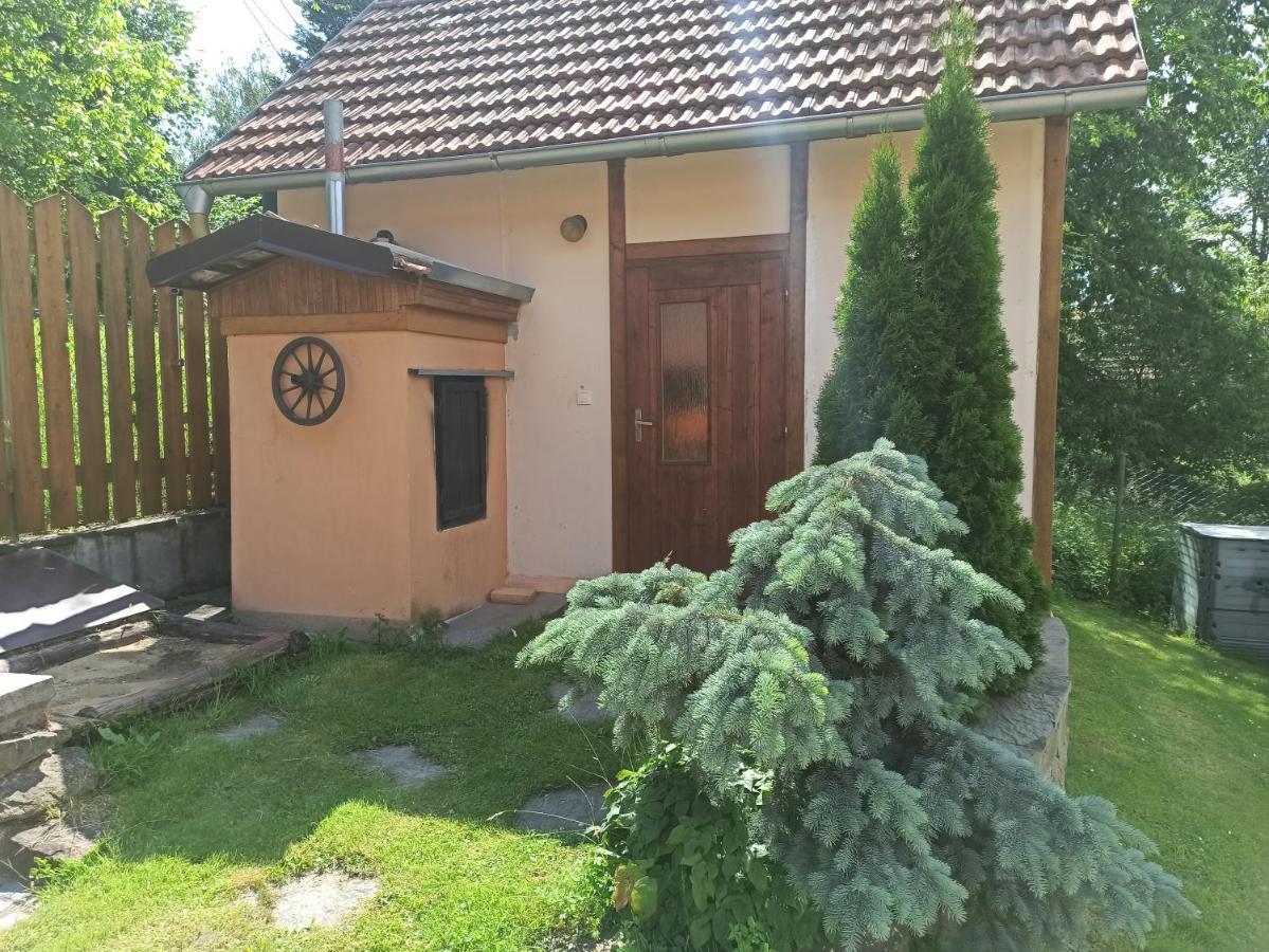 Chaloupka U Vejvodu Villa Skripov Buitenkant foto